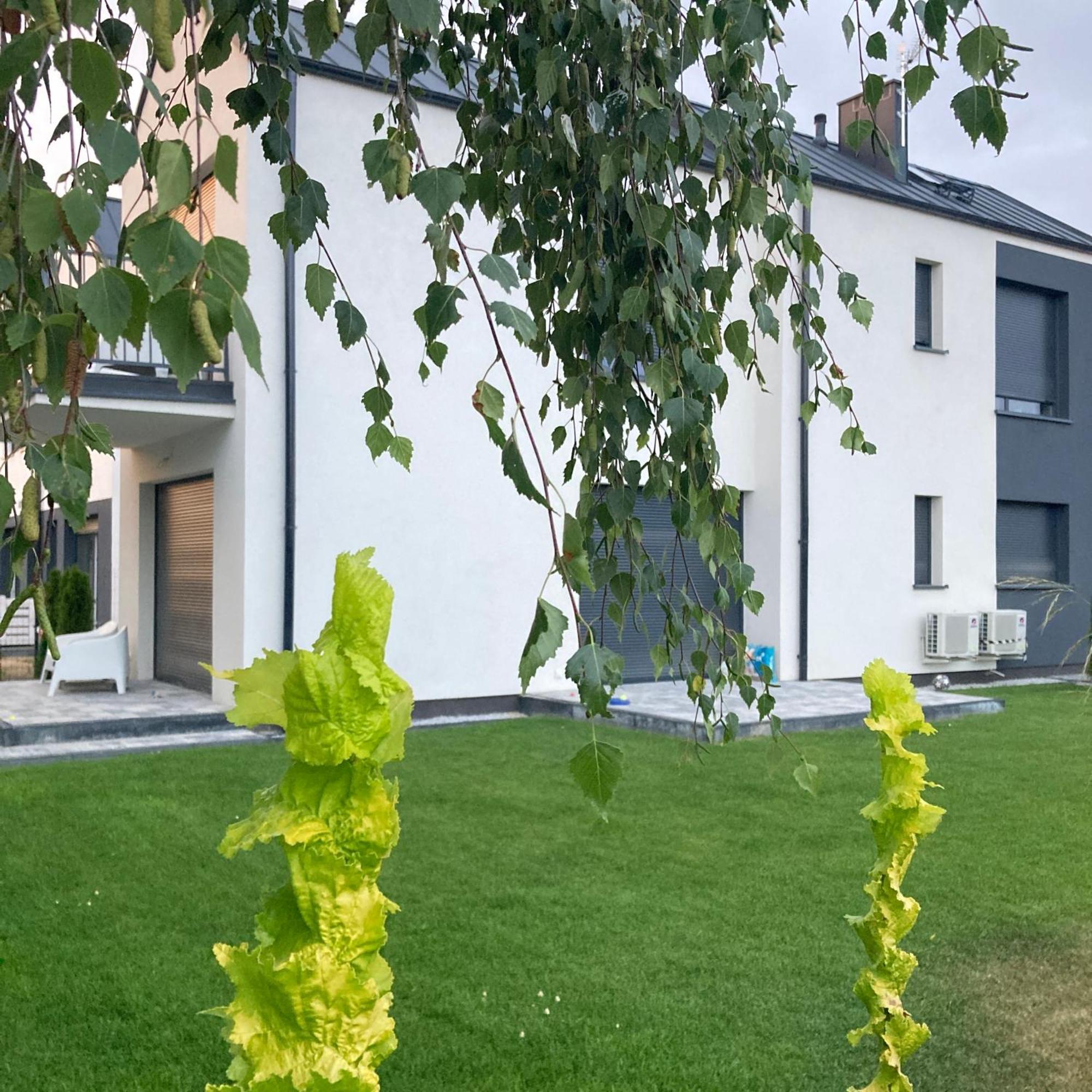 Stylowe Apartamenty Plewiska Buitenkant foto